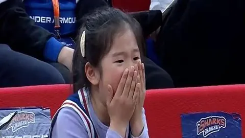 “14日双子座流星雨闪耀夜空，源自小行星引力”