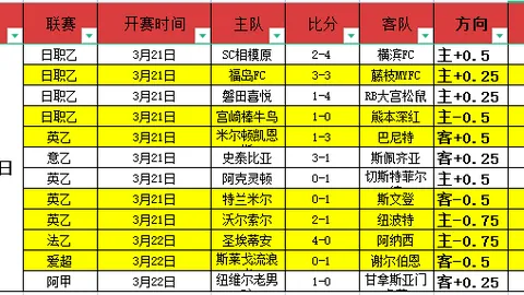 爱游戏体育娱乐